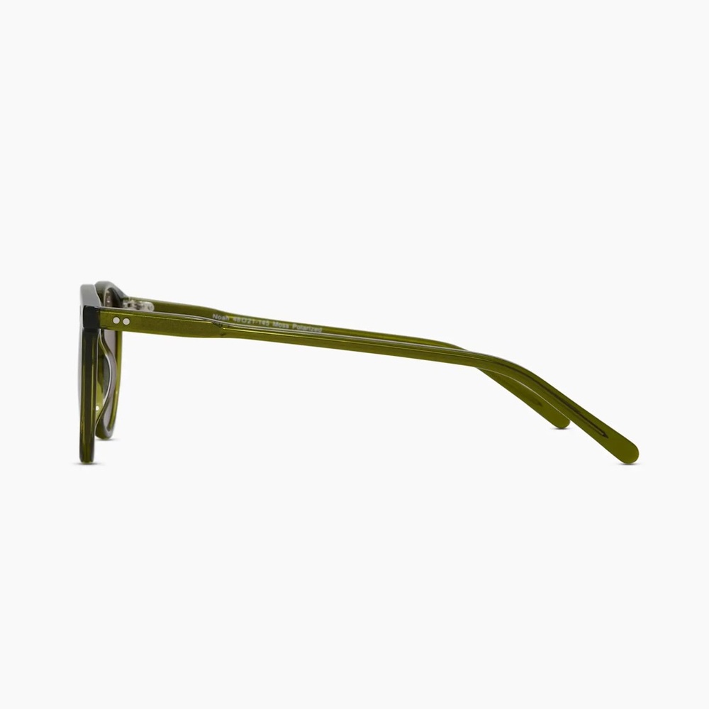 NWT Quince Noah Polarized Acetate Sunglasses in Moss with Brown Lenses - Picture 3 of 4